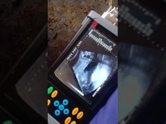اسکنر سونوگرافی دامپزشکی قابل حمل BR-VET7